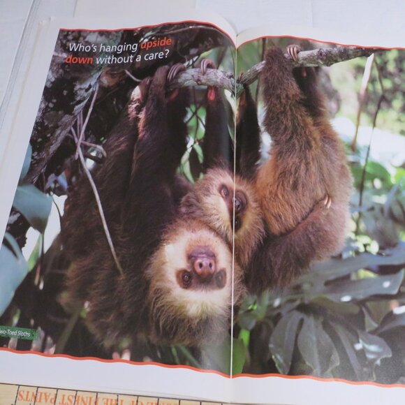Up, Down, All Around BIG BOOK (almost 2 feet tall) with teacher pages CLASSROOM - Picture 6 of 14